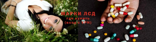 крисы Магадан