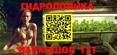 скорость Кингисепп