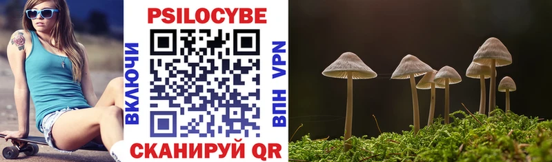 что такое   Черняховск  Псилоцибиновые грибы MAGIC MUSHROOMS 