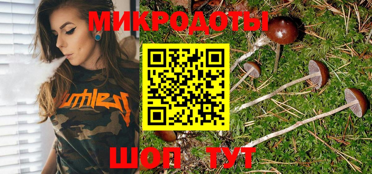 хочу   Псилоцибиновые грибы прущие грибы  Вход с VPN  Черняховск 