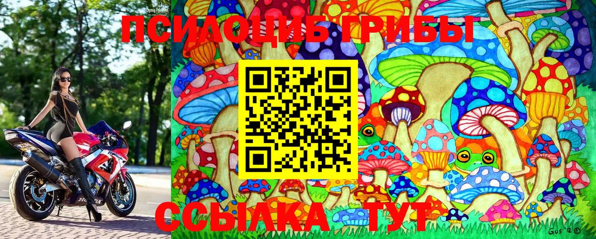 Галлюциногенные грибы мицелий Черняховск