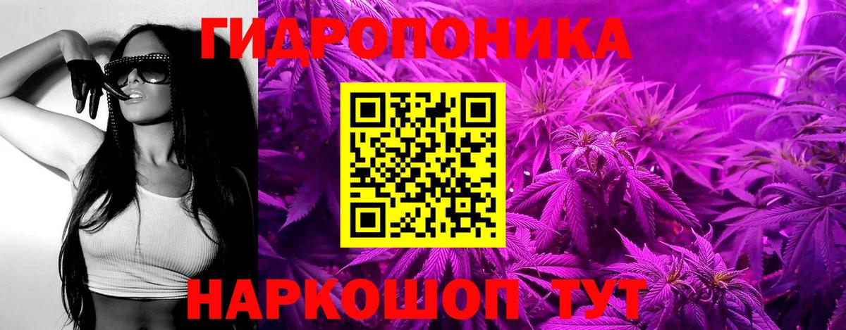 Бошки марихуана LSD WEED  Каннабис VHQ  Конопля план  Каннабис Amnesia  Черняховск 